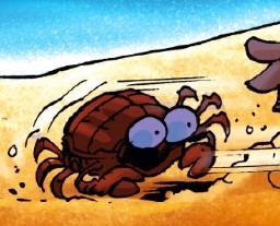 Fichier:Faune (31).jpg