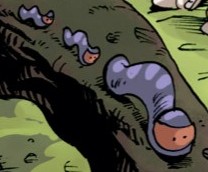 Faune (69).jpg