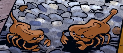 Fichier:Faune (29).jpg
