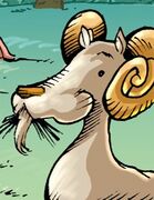 Faune (50).jpg