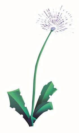 Image illustrative de l'article Aériastrale