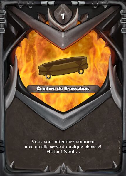 Fichier:TCG (14).jpg