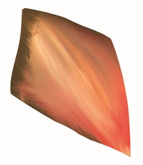 Image illustrative de l'article Écaille de persicroc