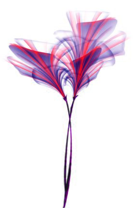 Image illustrative de l'article Luococia