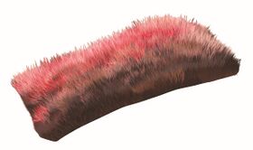 Image illustrative de l'article Fourrure de flamilynx