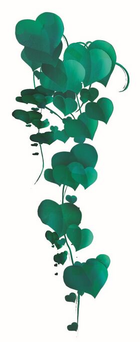 Image illustrative de l'article Guirlandine