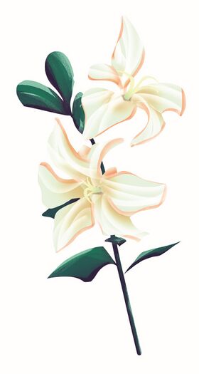 Image illustrative de l'article Clochenacre