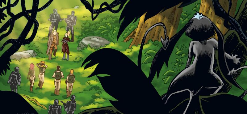 Fichier:Mydria pikouai.jpg