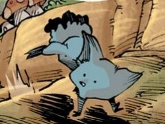 Faune (78).jpg