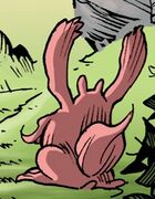 Faune (8).jpg