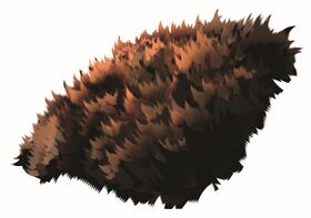 Image illustrative de l'article Fourrure d'ourssoum