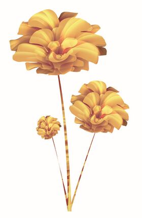 Image illustrative de l'article Cotonime