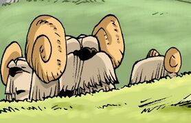Faune (7).jpg