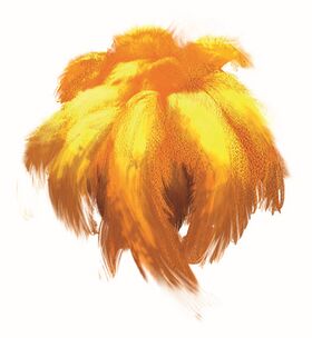 Image illustrative de l'article Fourrure de smourbiff