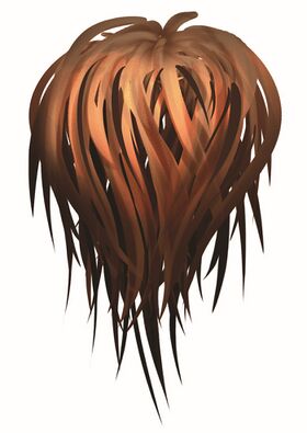 Image illustrative de l'article Fourrure de bourzou