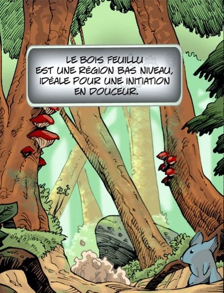 Fichier:Bois feuillus.jpg