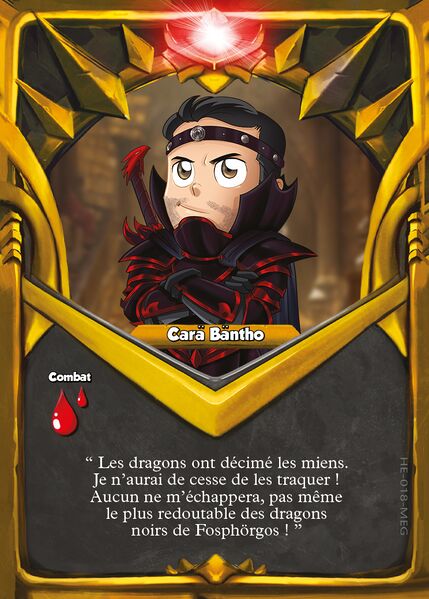 Fichier:TCG (170).jpg